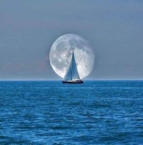 Meet your Posher, Hazel